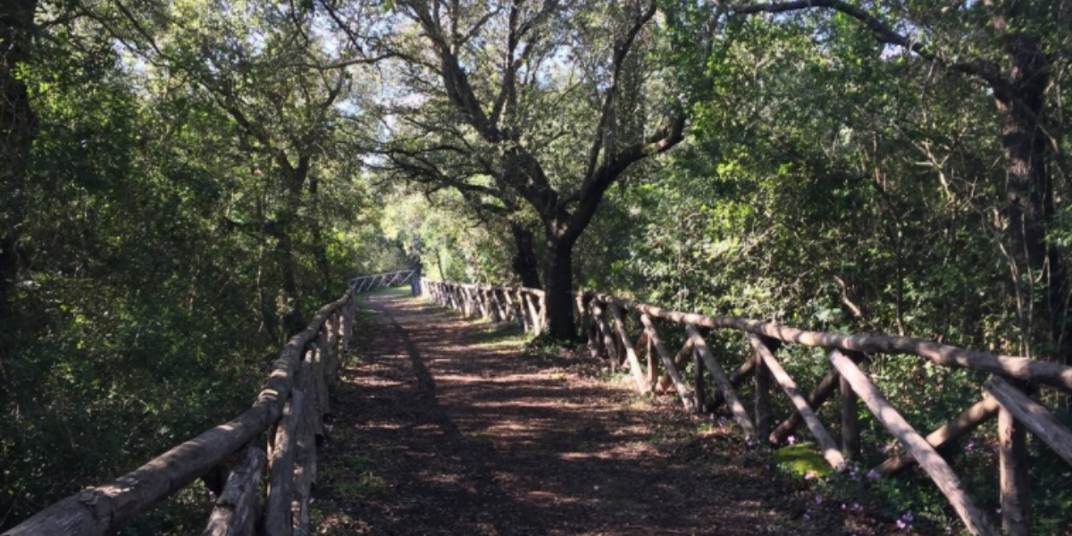 Una barca nel bosco - A tutti coloro che preservano se stessi - Lo